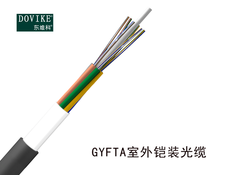 24芯GYFTA室外鎧裝光纜、24芯光纜價(jià)格廠家--江蘇東維通信科技有限公司