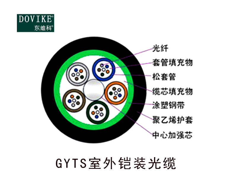 GYTS室外鎧裝光纜，24芯GYTS鎧裝光纜--江蘇東維通信科技有限公司