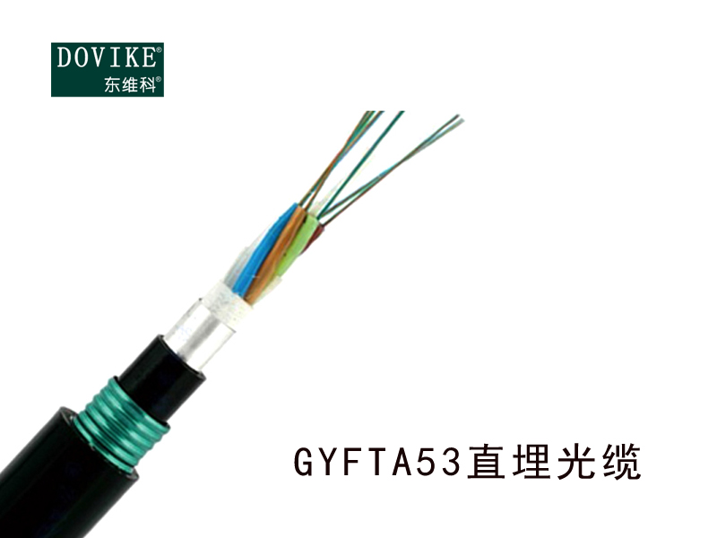 GYFTA53室外鎧裝直埋光纜，24芯埋地光纜廠家--江蘇東維通信科技有限公司