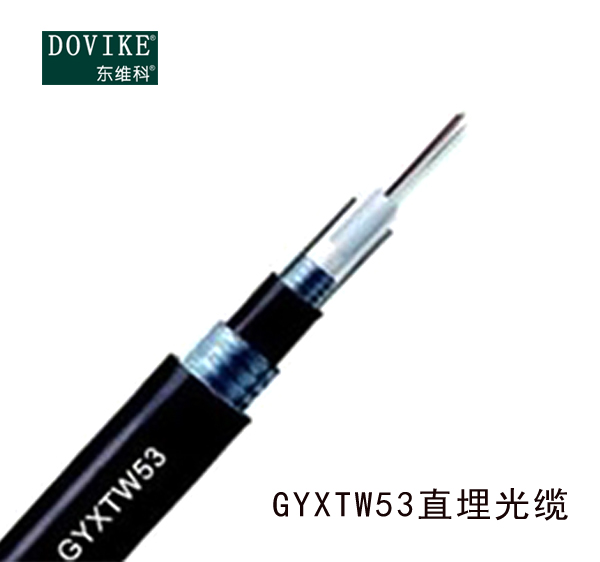 GYXTW53室外鎧裝直埋光纜，12芯GYXTW53埋地光纜廠家--江蘇東維通信科技有限公司
