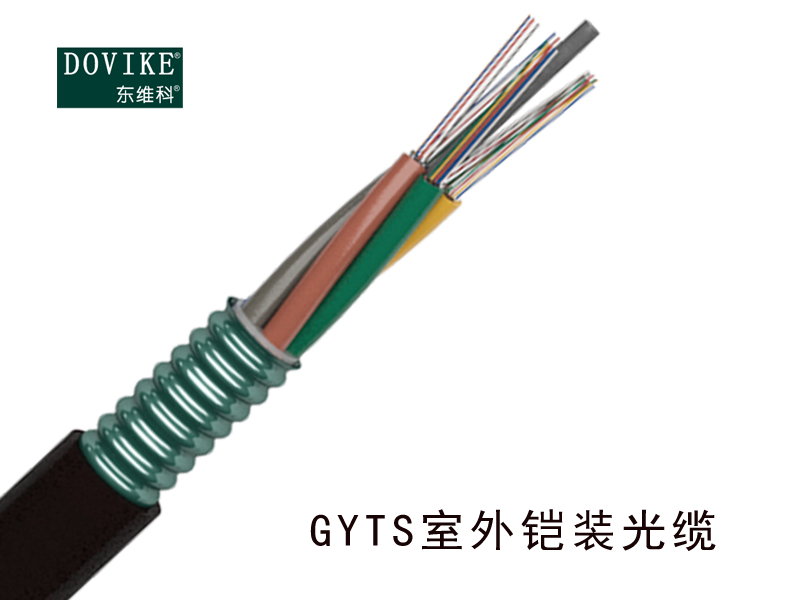 GYTS室外鎧裝光纜，24芯GYTS鎧裝光纜--江蘇東維通信科技有限公司