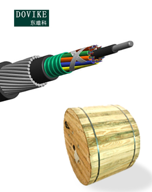 專(zhuān)用定制光纜